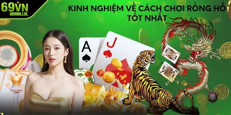 Kinh nghiệm về cách chơi rồng hổ tốt nhất